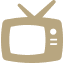 telvision