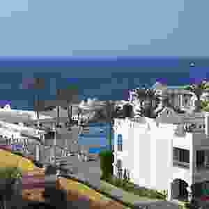 vertical-timeline-with-image-4-4